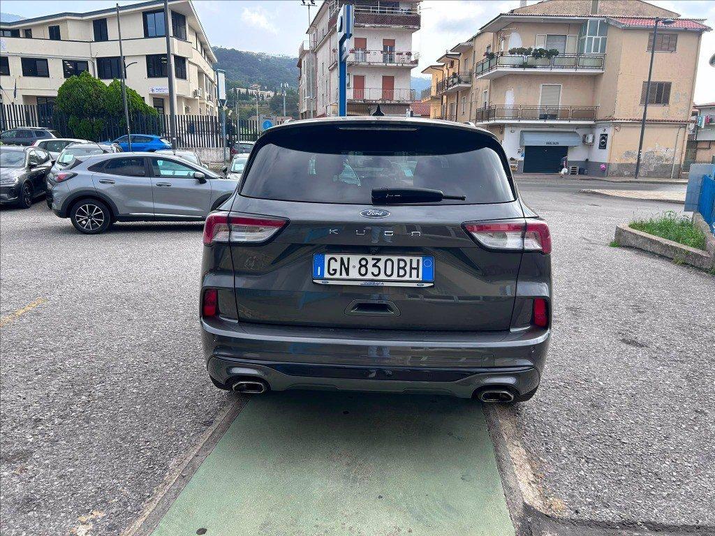 FORD Kuga 2.0 ecoblue ST-Line X 2wd 120cv auto del 2023