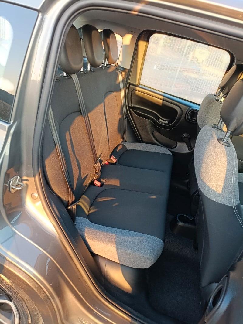 FIAT Panda 3ª serie Panda 1.0 FireFly S&S Hybr...