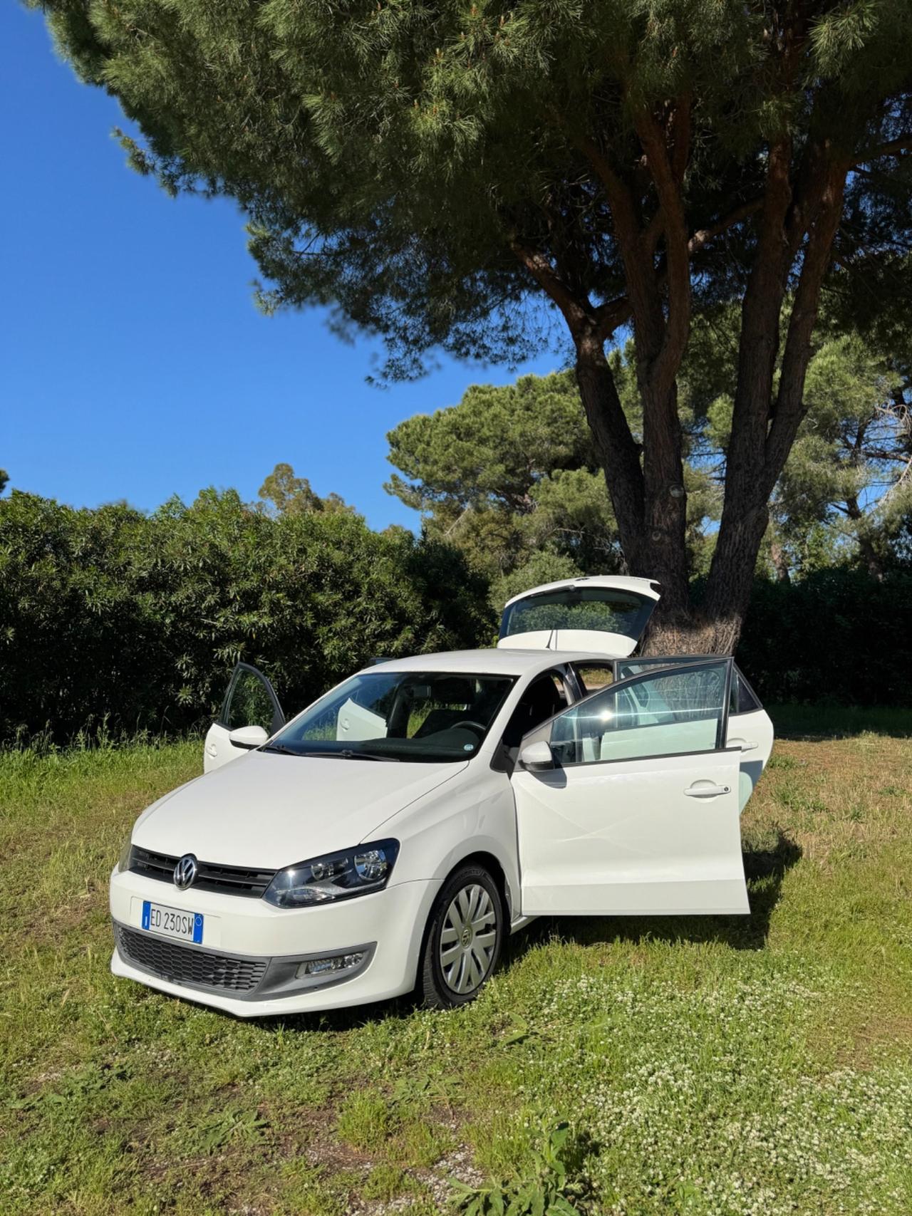 Volkswagen Polo 1.6 TDI DPF 5 porte Trendline