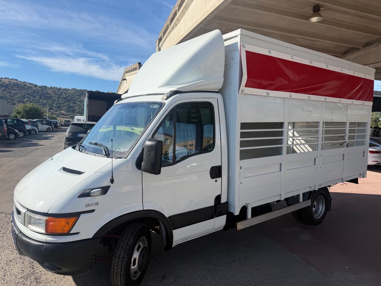 Iveco Daily 35c13 2.8 130cv trasporto animali vivi patente B
