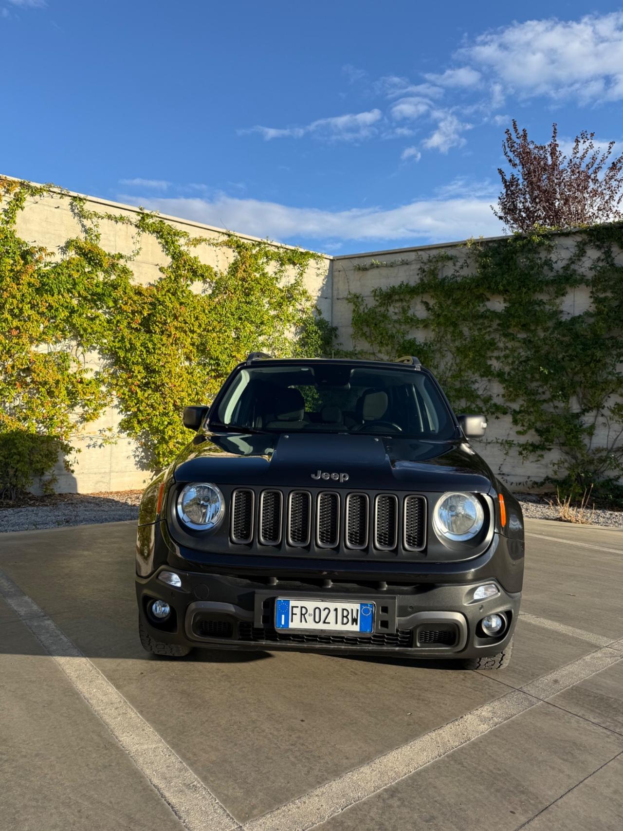 Jeep Renegade 2.0 Mjt 170CV 4WD Active Drive Low Trailhawk