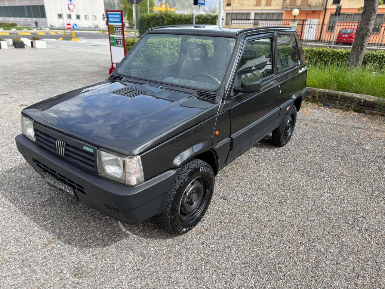 Fiat Panda 1000 i.e. cat 4x4 Trekking