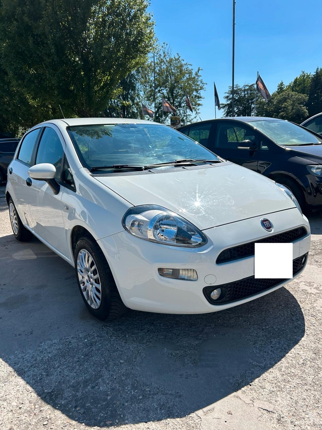 Fiat Punto 1.3 MJT II S&S 85 CV 5 porte ECO Street OK NEO PATENTATI