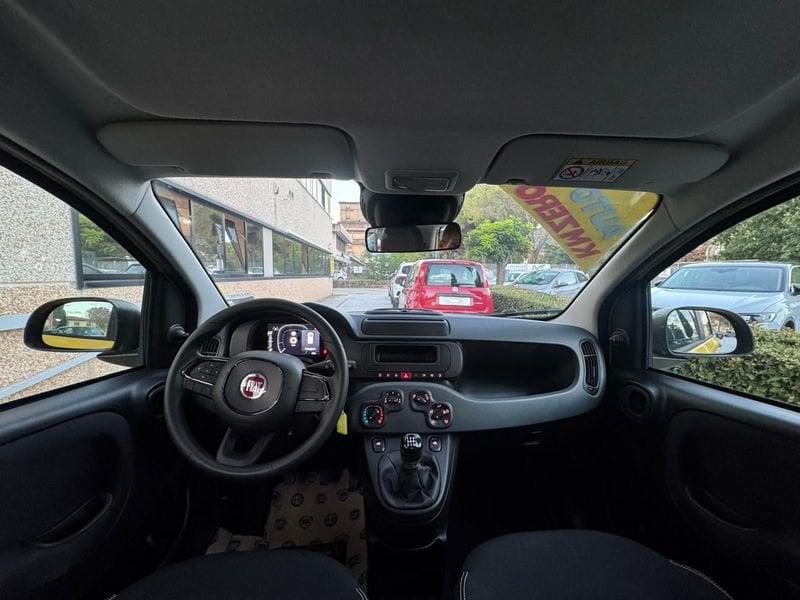 FIAT Panda 1.0 FireFly S&S Hybrid 70cv - Prezzo Reale