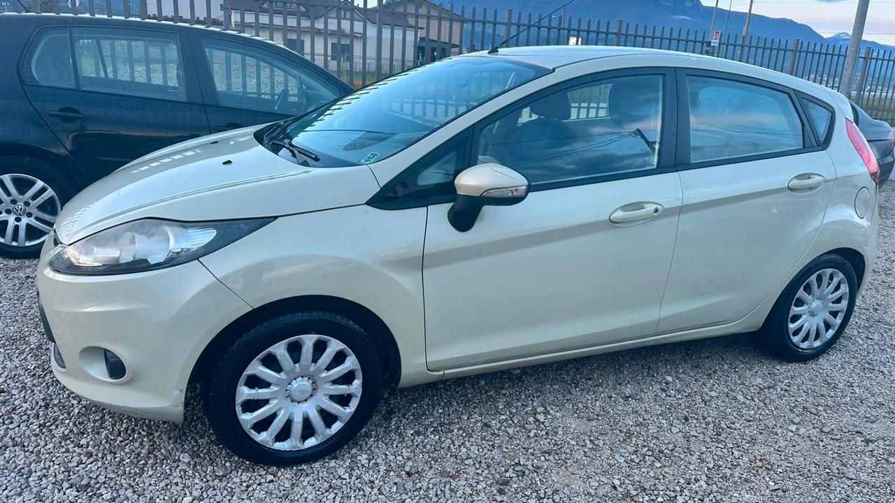 Ford Fiesta 1.2 82 CV 5 porte Titanium