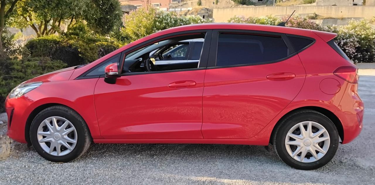 Ford Fiesta 1.1 75 CV 5 porte Connect