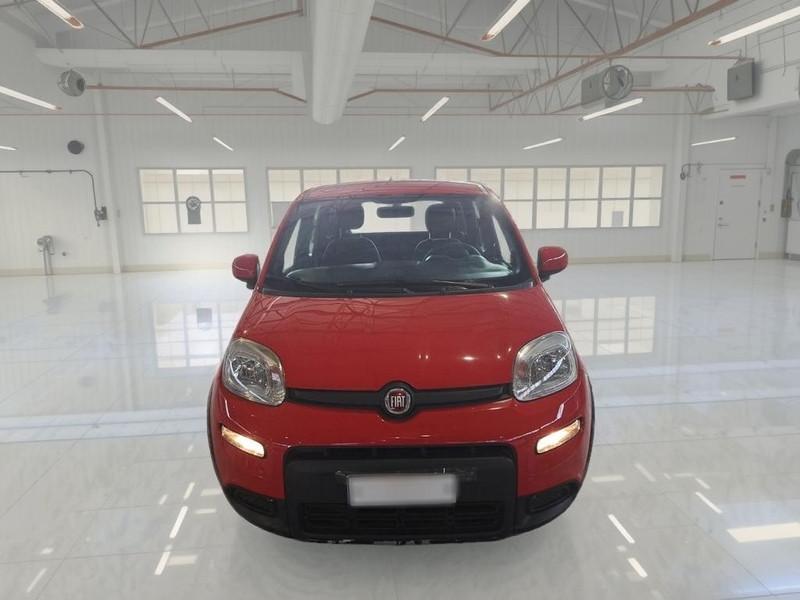FIAT PANDA 1.0 FireFly 70cv S/S Hybrid Sport 5 PORTE