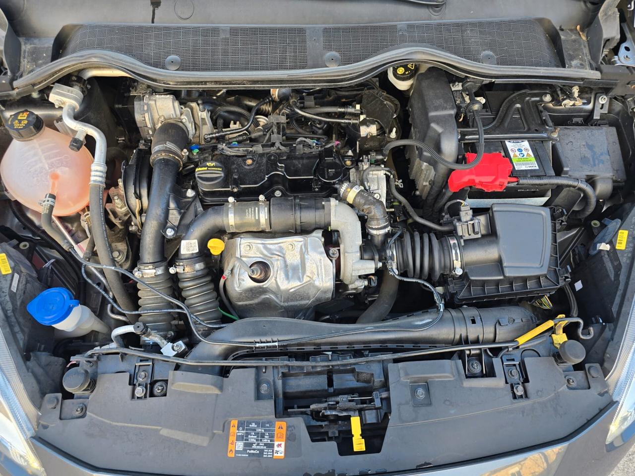 Ford Fiesta 1.5 EcoBlue ST-Line 85 cv - 2020