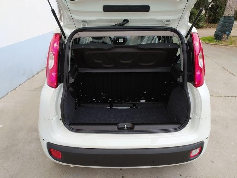 FIAT Panda 1.0 70cv Hybrid Promo CBC 5