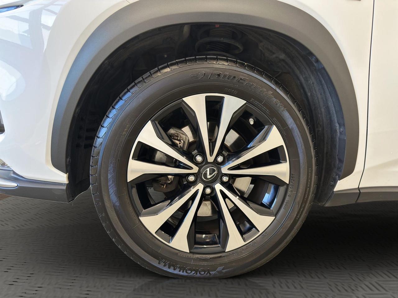 Lexus NX 300h 2.5 F Sport 4wd cvt