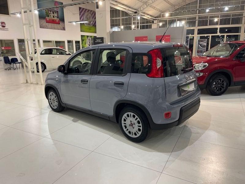 FIAT Panda PANDA HYBRID 1.0 70 CV