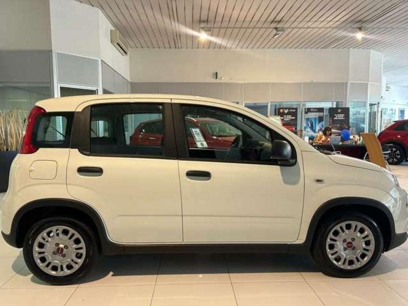 FIAT Panda 1.0 firefly hybrid s