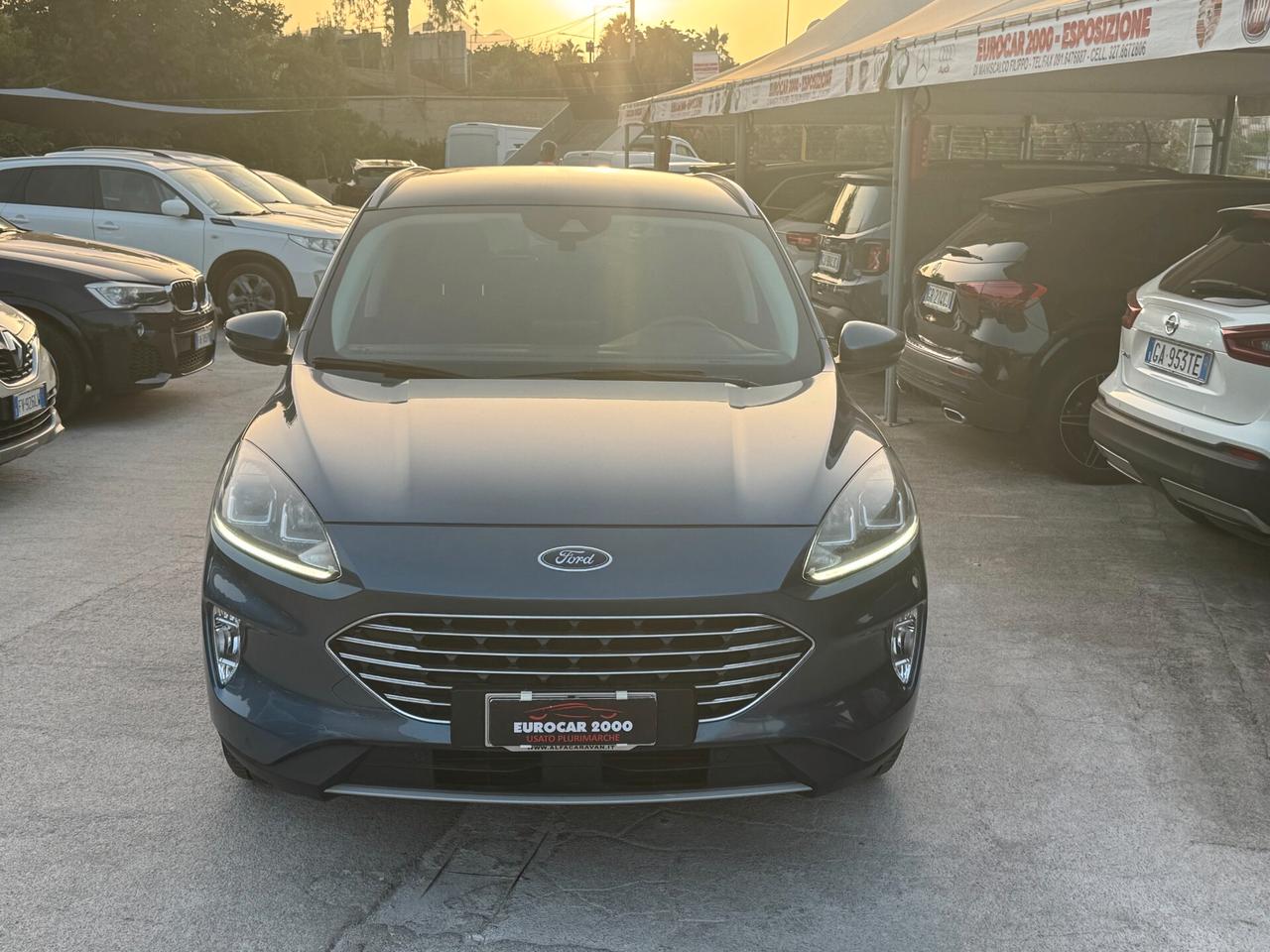 Ford Kuga 1.5 EcoBlue 120 CV 2WD Titanium