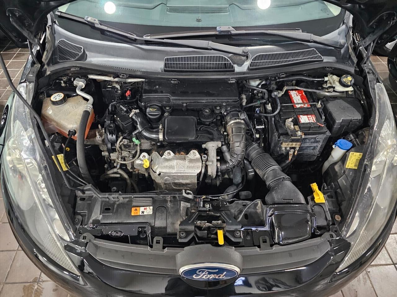 NUOVA FORD FIESTA TITANIUM 1.4 TDCI 70CV PER NEOPATENTATI