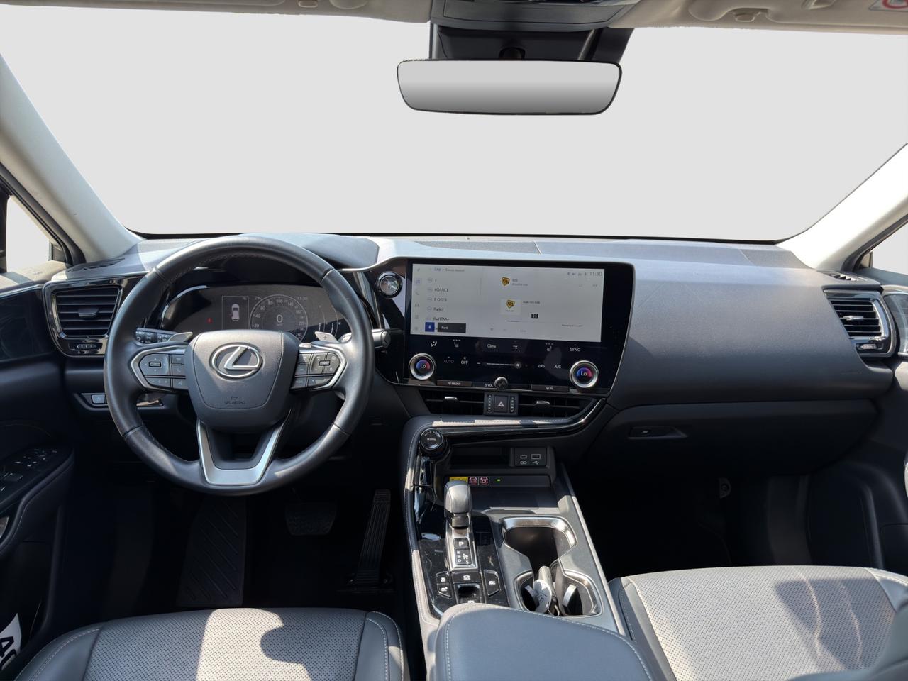 LEXUS NX 2ª serie NX Hybrid 4WD Premium +