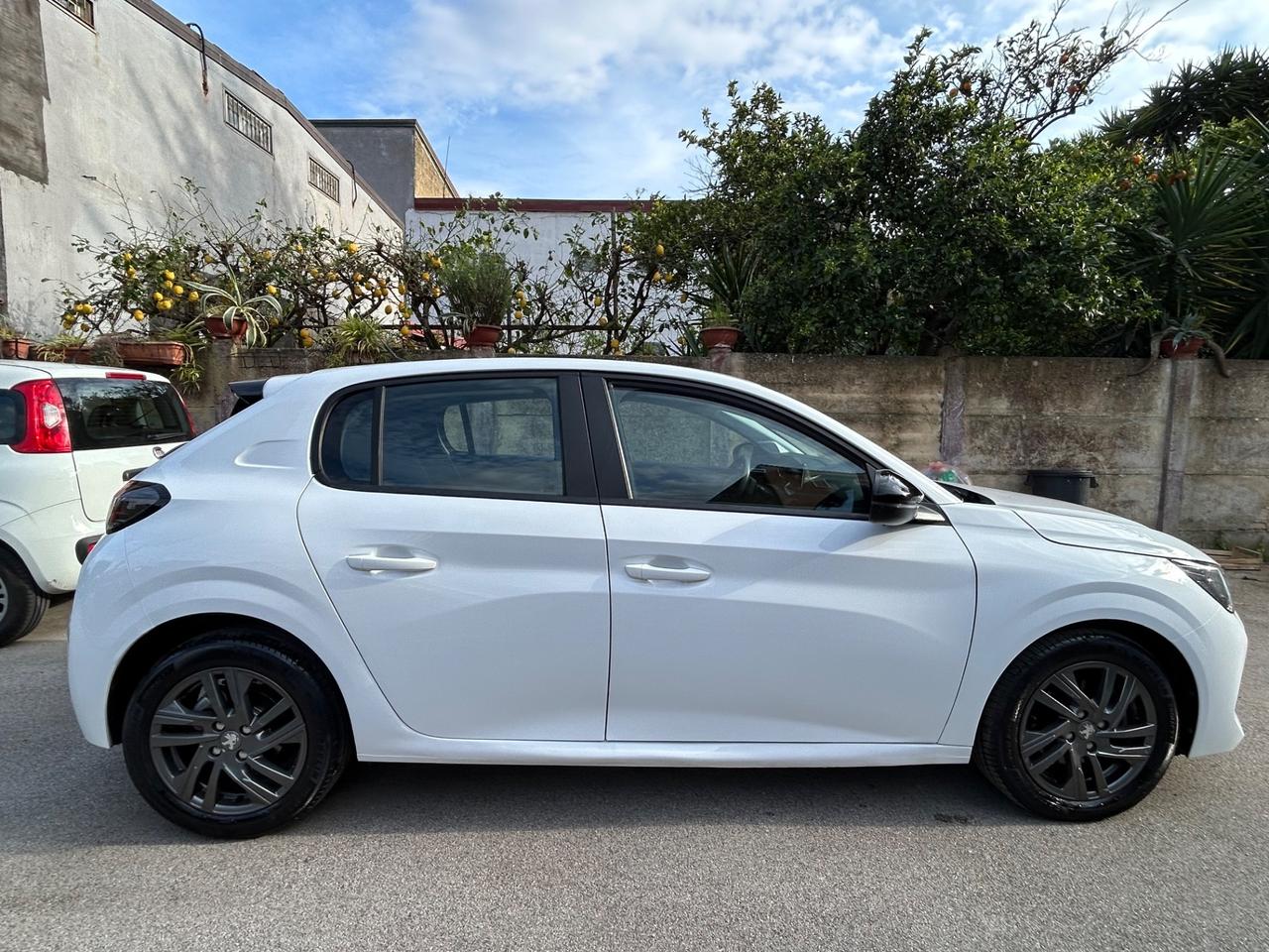 Peugeot 208 BlueHDi 100 Stop&Start 5 porte Active