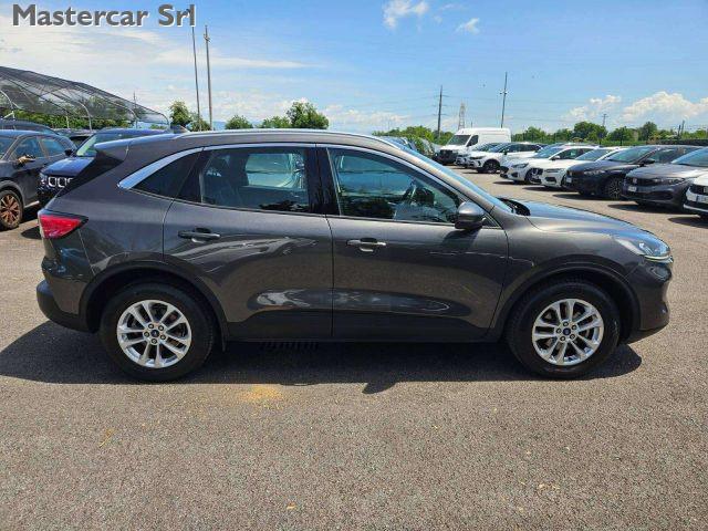 FORD Kuga 2.0 EcoBlue MHEV 150CV 2WD Titanium TG : GG252WT