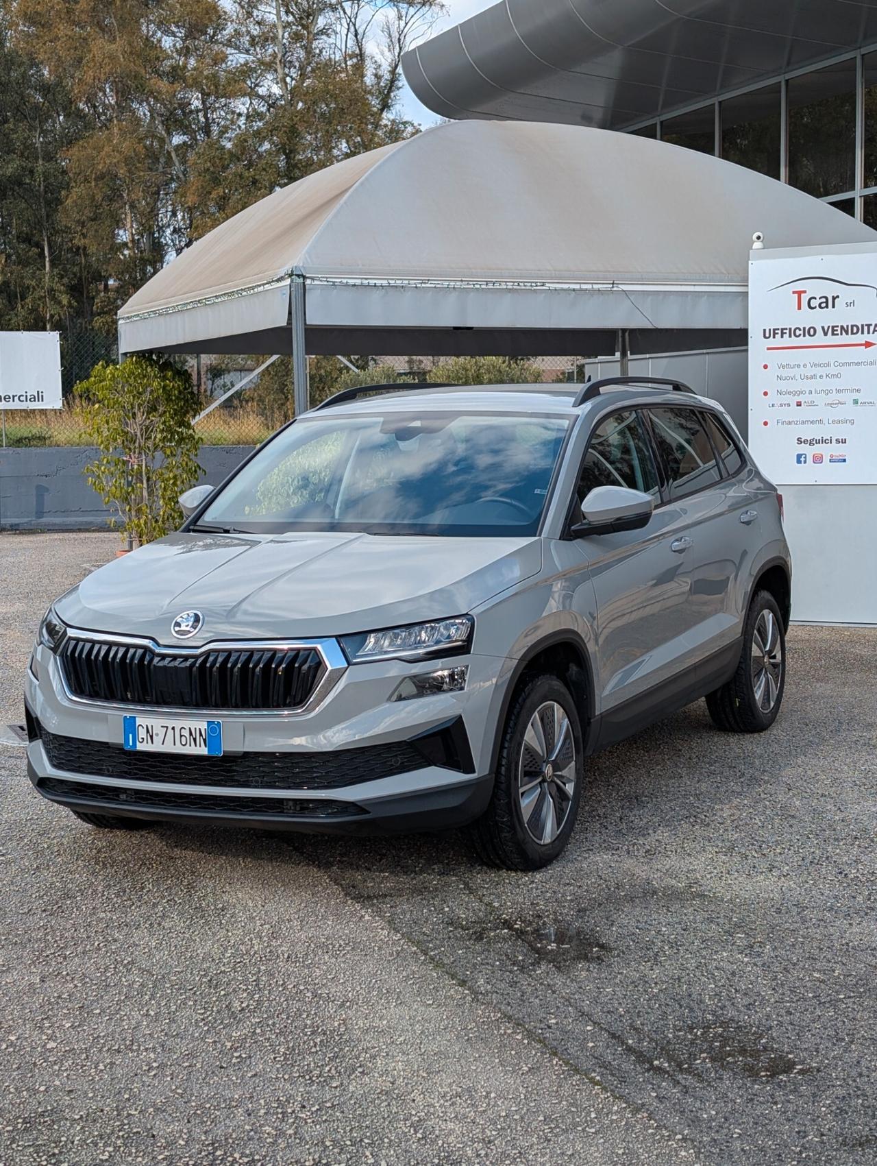 Skoda Karoq 2.0 Tdi 115Cv DSG Executive