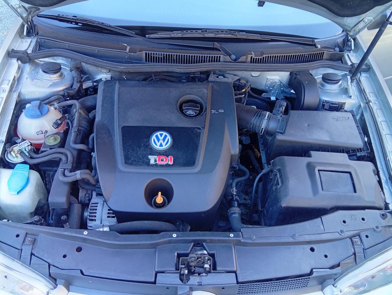 Volkswagen Golf 1.9 TDI/130 CV 5pt Highline ASI