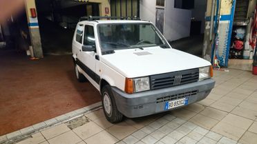 Fiat Panda 900 i.e. cat Young