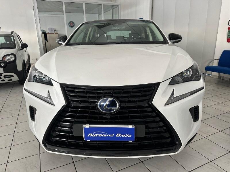 LEXUS NX 1ª serie NX Hybrid 4WD F-Sport