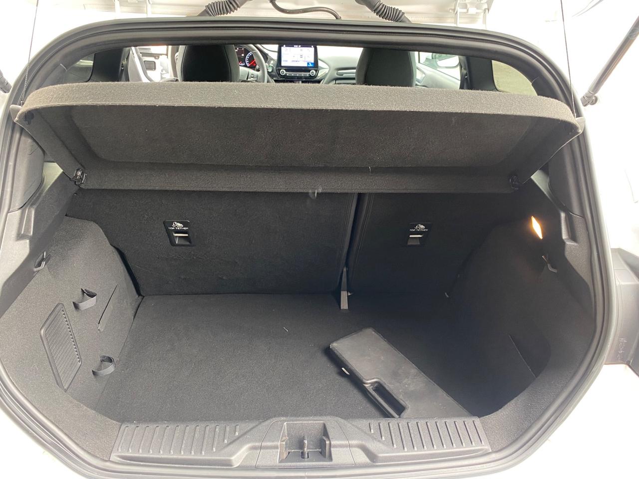 Ford Fiesta 1.5 Ecoboost 200 CV 5 porte ST Performance Pack