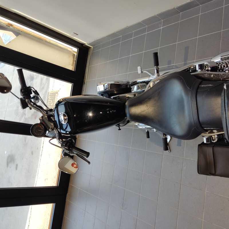 Harley-Davidson XL 883R - 2005