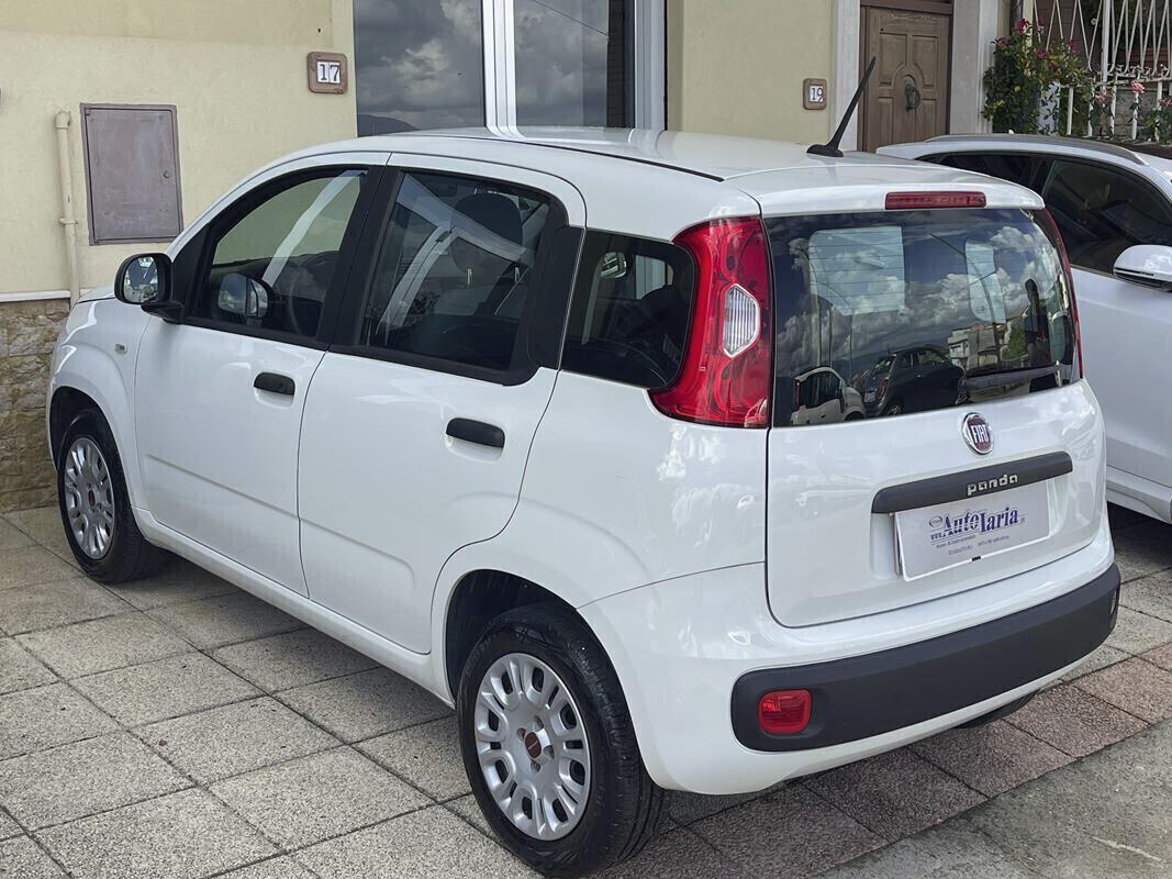 Fiat Panda 1.2 Easy 69cv my19 "Adatta anche per neopatentati" (Fendinebbia - Clima - Uconnect - Usb - Ruotino)