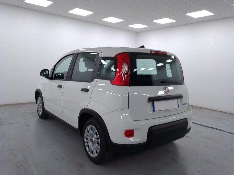 FIAT Panda 1.0 firefly hybrid s&s 70cv