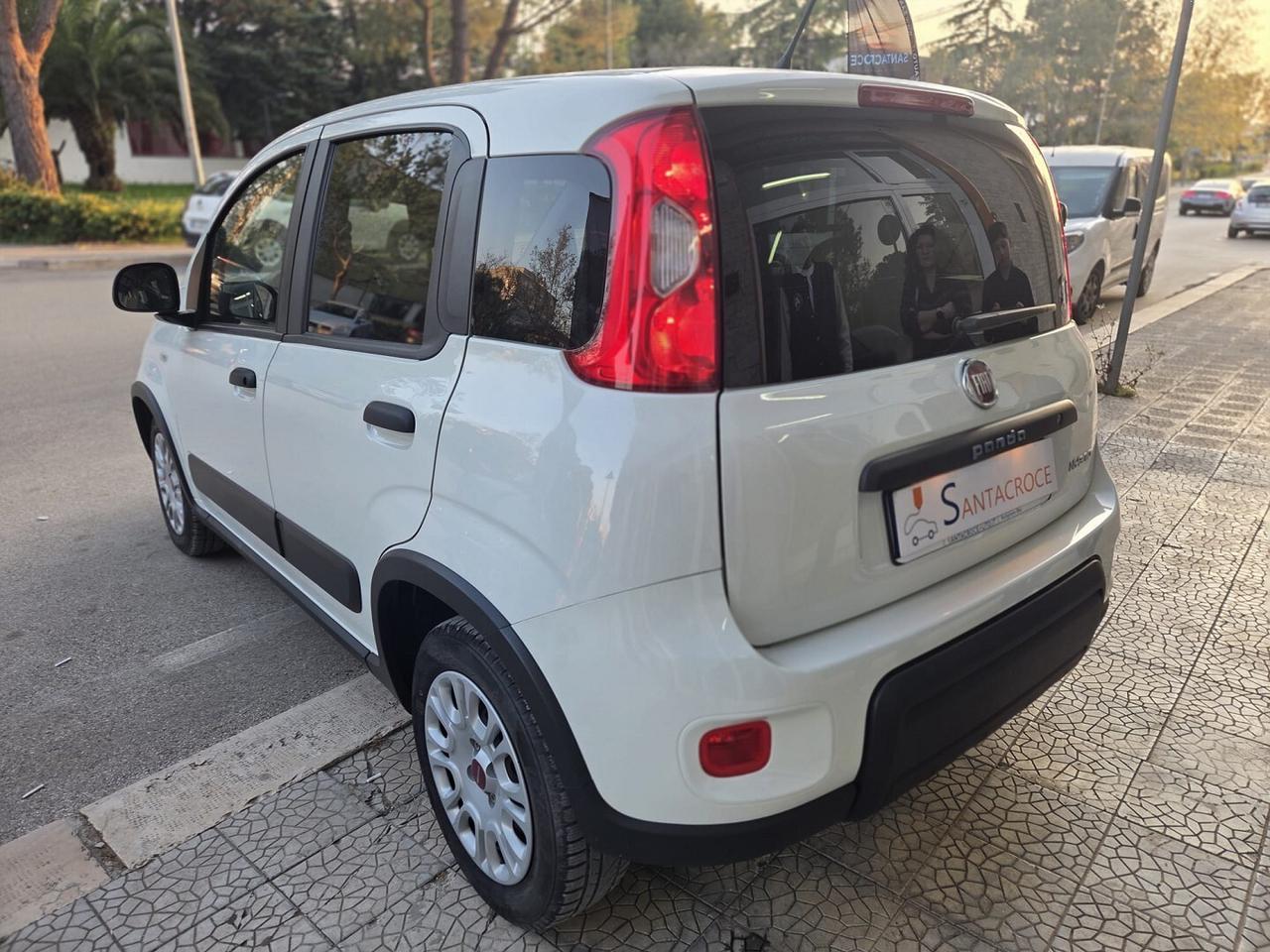 FIAT PANDA 1.0 70cv Hybrid Euro 6d Van 4 p. Street