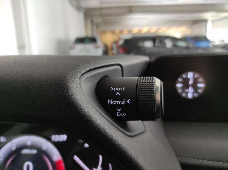 LEXUS UX - UX Hybrid Business