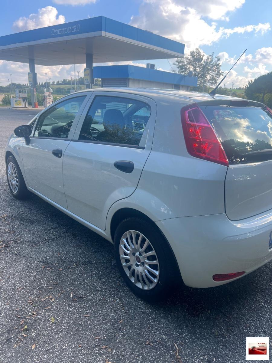 FIAT - Punto - 1.3 MJT II S&S 95 CV 5p. Street