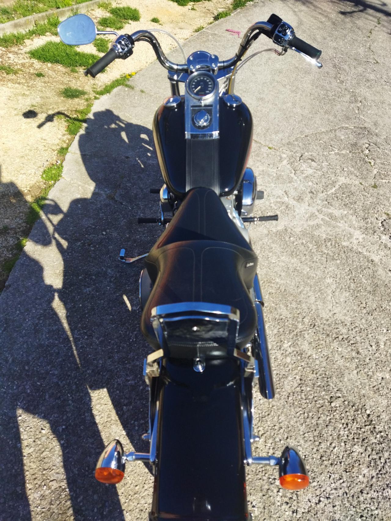 Harley Davidson softail standart 1450 carburatore