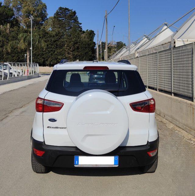 FORD EcoSport 1.5 Ecoblue 100 CV Business