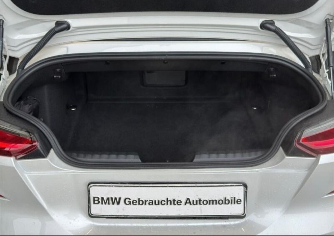 Bmw Z4 sDrive20i Advantage C Automatico