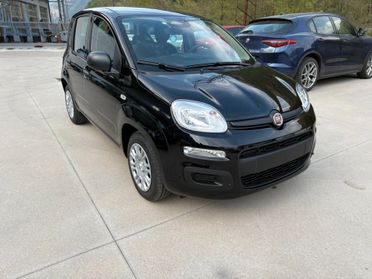Fiat Panda 1.0 FireFly S&S Hybrid Icon