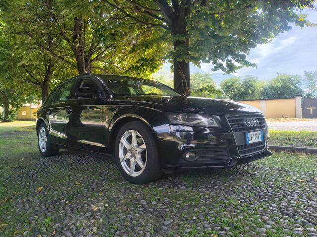 AUDI A4 Avant 2.0 TDI 170CV F.AP. quattro