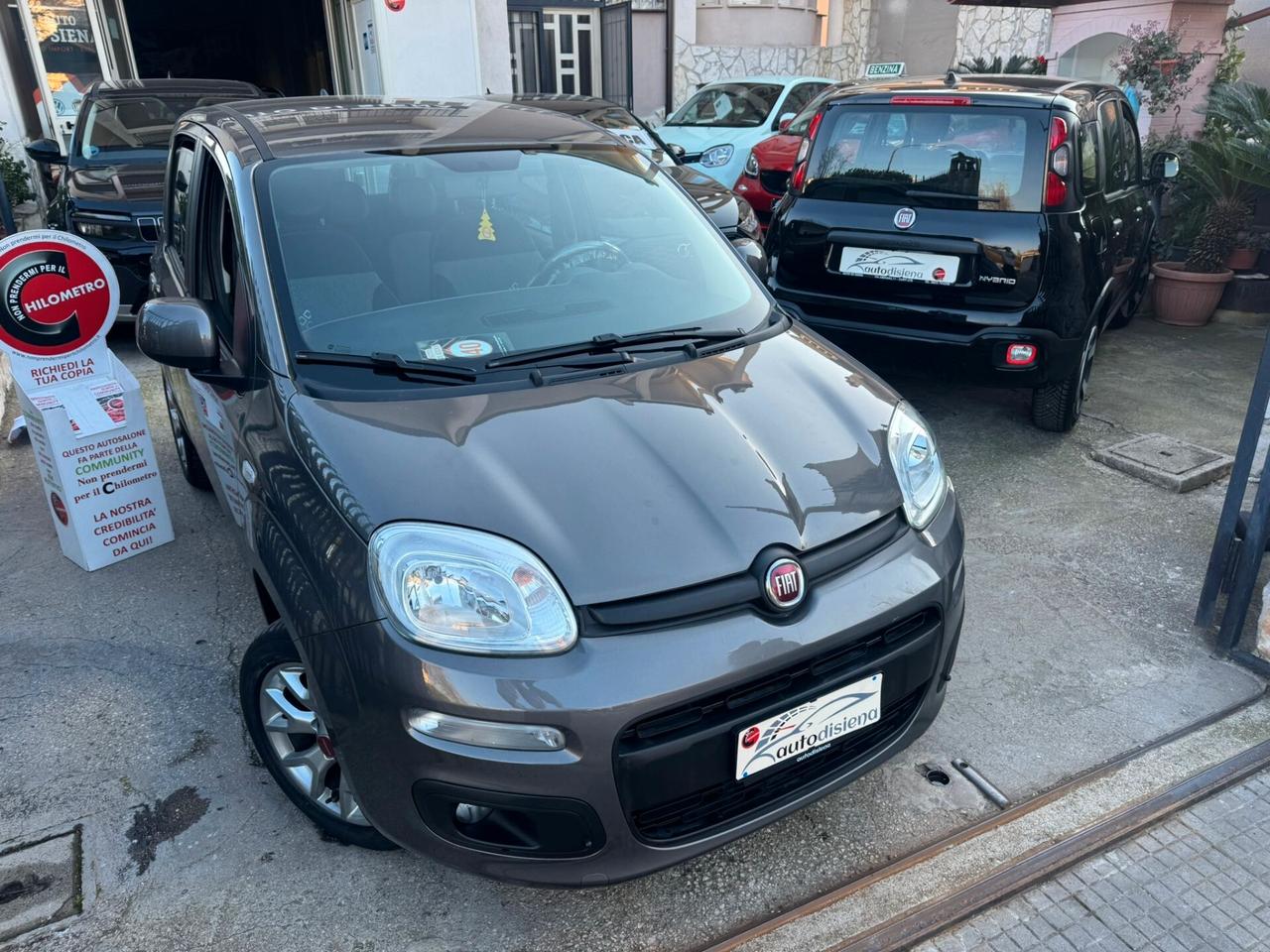 Fiat Panda 1.2 Lounge