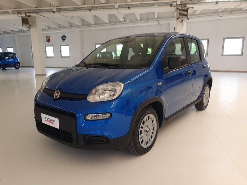 FIAT Panda Panda 1.0 70cv Hybrid Panda