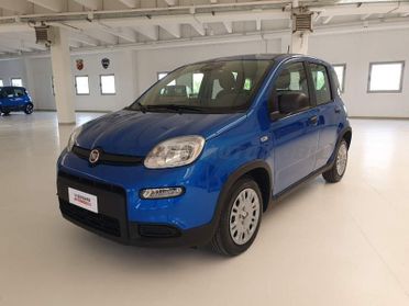 FIAT Panda Panda 1.0 70cv Hybrid Panda