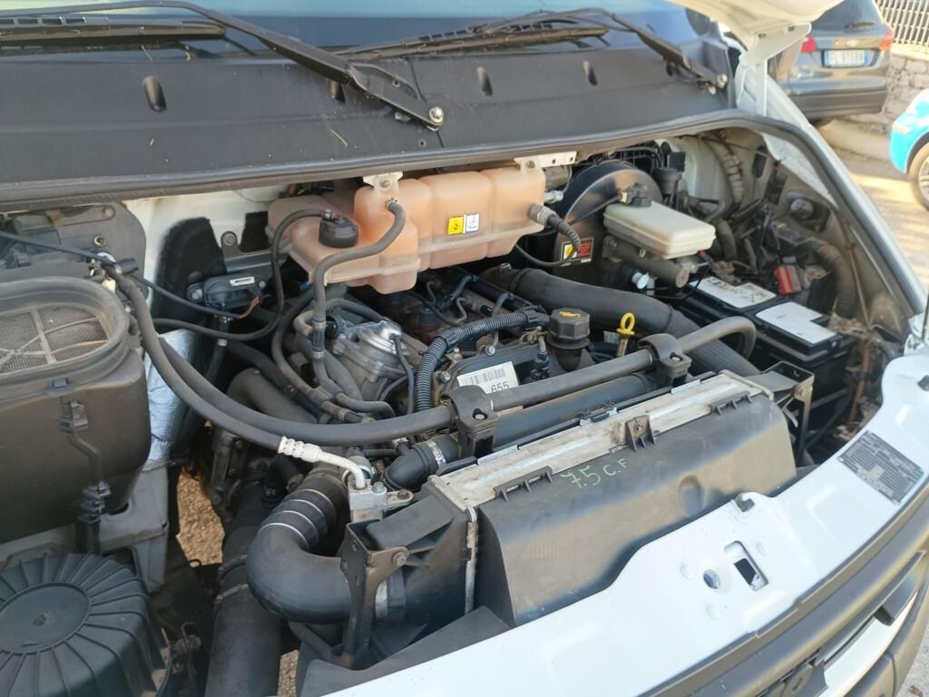 Iveco Daily 35C15 3.0 Hpi 6 marce Cassone Fisso