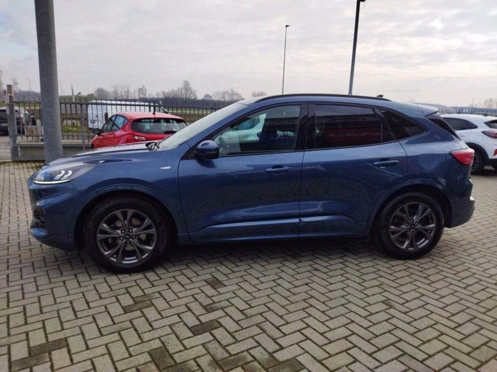 FORD Kuga 1.5 EcoBlue 120 CV aut. 2WD ST-Line X del 2022