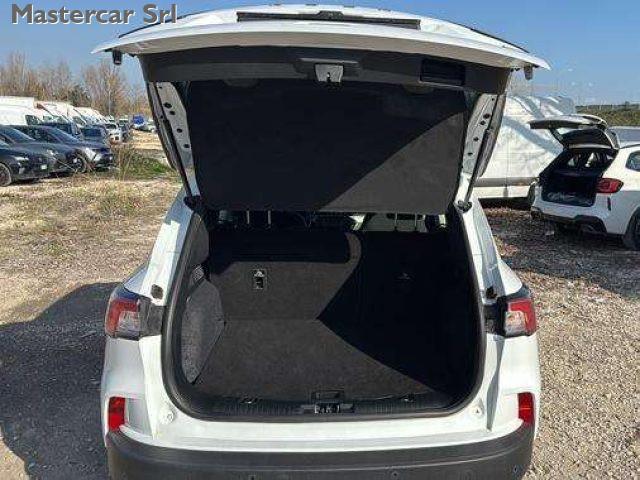 FORD Kuga 2.0 mhev Titanium Business 2wd 150cv TG : GG136WT