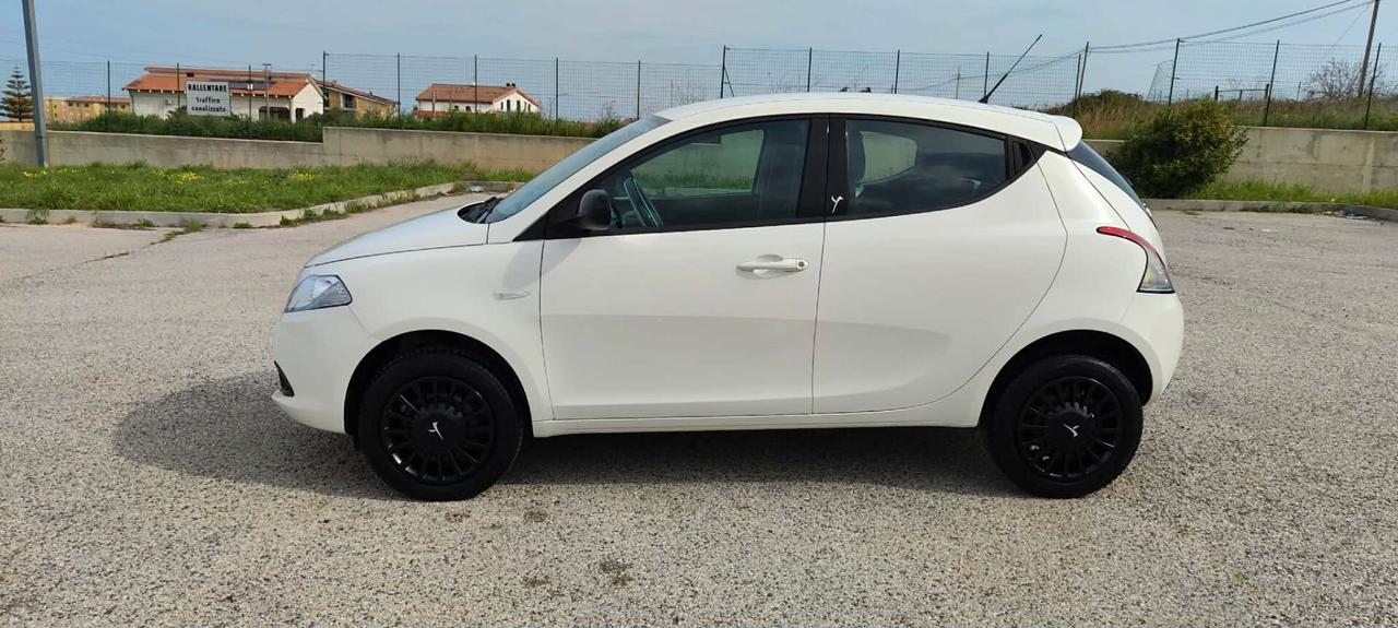 Lancia Ypsilon 0.9 TwinAir 85 CV 5 porte Metano Ecochic Elefantino