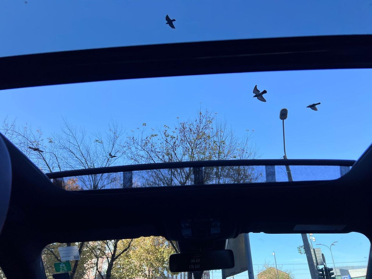 Mercedes-Benz GLA 35 AMG Premium GLA 35 AMG #7678