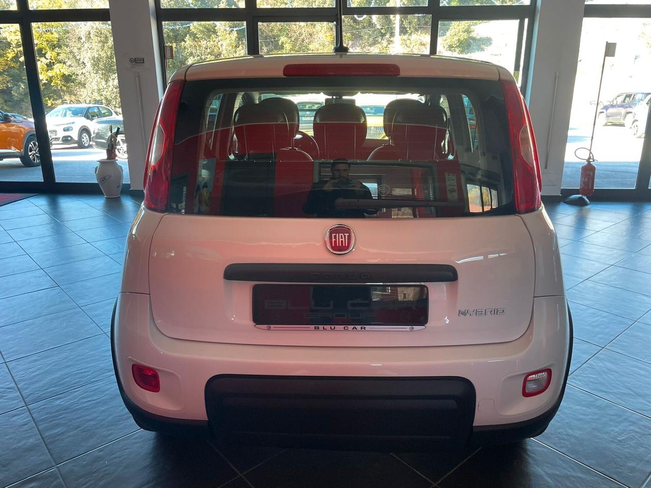 FIAT PANDA 1.0 FIREFLY HYBRID 70cv CITY LIFE
