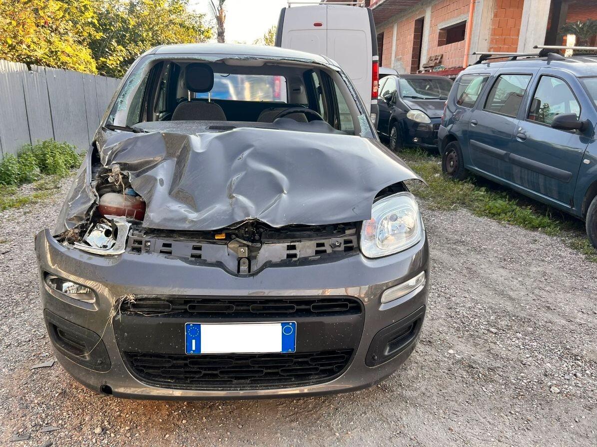 Fiat Panda 1.0 FireFly S&S Hybrid