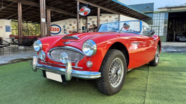 Austin-Healey 3000 BJ8 MK III – 1965 - SUMMER PRICE