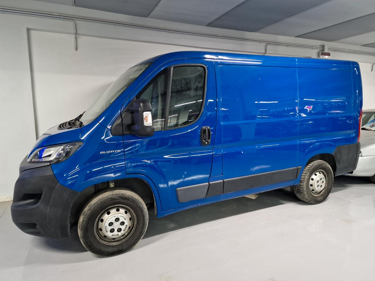 Fiat Ducato 30 2.3 MJT 120 cv PC-TN Furgone