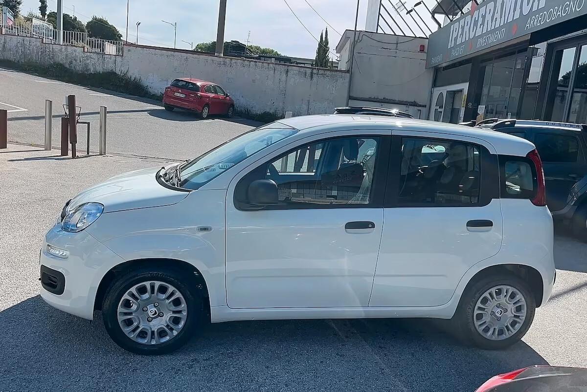 Fiat Panda 1.0 FireFly S&S Hybrid Pandina KM0